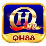 Profile picture of QH88