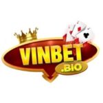 Profile picture of Vinbet Điểm đến lý tưởng cho cá cược và giải trí hàng đầu khu vực Châu Á